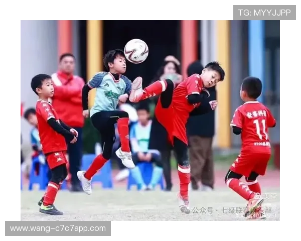 绿茵场上追逐梦想的足球球星奋斗与荣耀故事