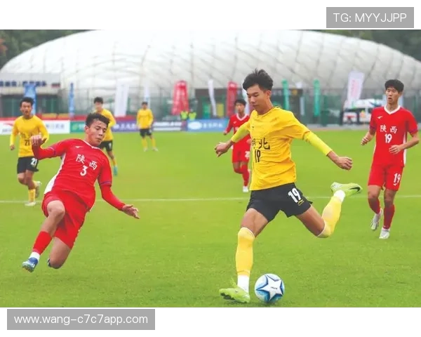 足球明星成长之路：从青训到巅峰的奋斗与蜕变